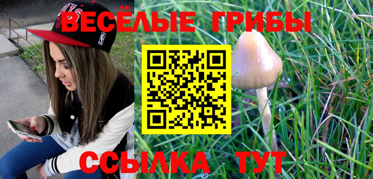 Галлюциногенные грибы MAGIC MUSHROOMS Дербент